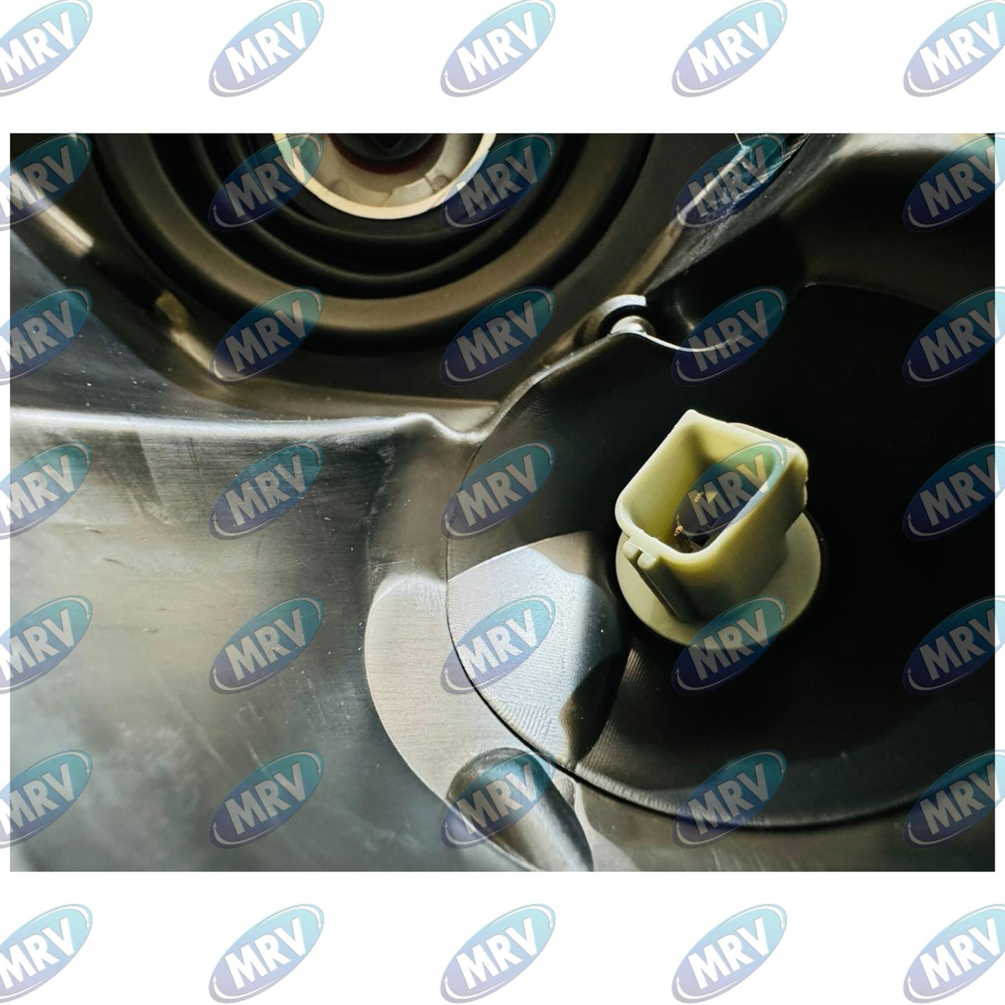 UNIDAD PRINCIPAL INTERNATIONAL LT